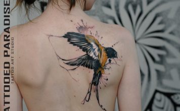 tatu burung